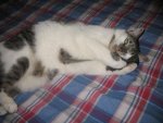 Winter 2008-2009 020.jpg