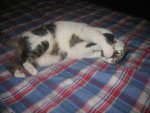 Winter 2008-2009 022.jpg
