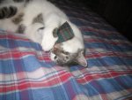 Winter 2008-2009 023.jpg