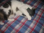 Winter 2008-2009 024.jpg
