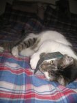 Winter 2008-2009 025.jpg