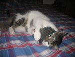 Winter 2008-2009 026.jpg