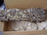 PC290341.jpg