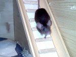 Bild067.jpg