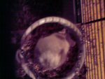 Foto-0003.jpg