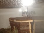 Bilder15.1.09 183.jpg