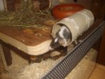 Bilder15.1.09 178.jpg