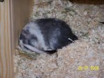 100_1736.jpg