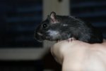 DSC00139.jpg