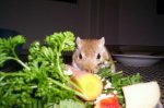 000_0751.JPG