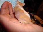 DSC00482.jpg