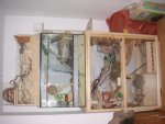 PICT0122.jpg
