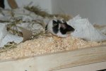 DSC00177.jpg