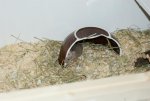 DSC00197.jpg