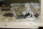 DSC00226.jpg