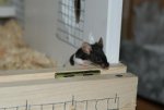 DSC00238.jpg