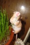 DSC01239.jpg