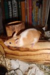 DSC01477.jpg