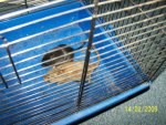 100_2743.jpg