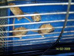 100_2744.jpg