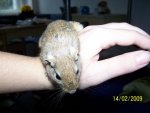 100_2745.jpg