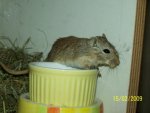 100_2753.jpg