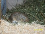 100_2754.jpg