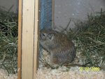 100_2761.jpg