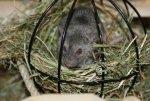 DSC00274.jpg
