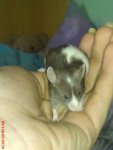 DSC00126.JPG