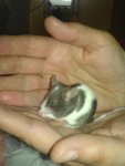 DSC00131.JPG