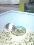 DSC02614.jpg