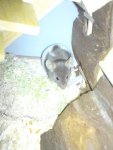 DSC02617.jpg