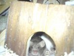 DSC02630.jpg