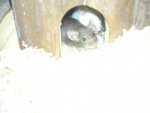 DSC02632.jpg