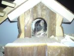 DSC02633.jpg