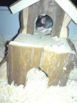 DSC02696.jpg