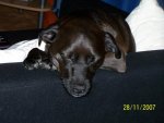 100_1353.jpg