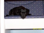 Bild 288.jpg