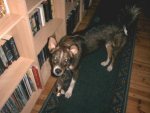 Baster0037.jpg