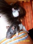 100_1376.jpg