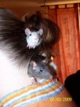 100_1377.jpg