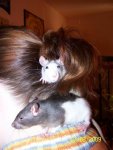 100_1378.jpg