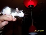 100_1287.JPG