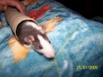 100_1290.JPG