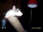 100_1292.JPG