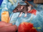 100_1299.jpg