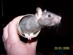 100_1306.JPG