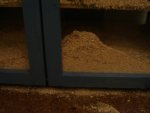 DSC03380.JPG