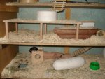 DSC03385.jpg